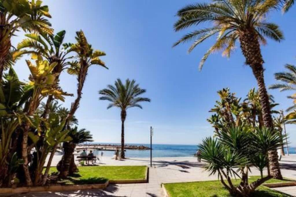 Penthouse Ramon G-Playa Del Cura Lägenhet Torrevieja Exteriör bild